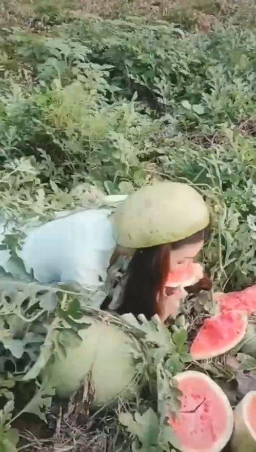 海拔小姐姐吃瓜,小姐姐的瓜香四溢