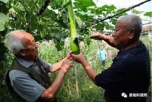 吃瓜树哥,揭秘娱乐圈背后的那些事儿