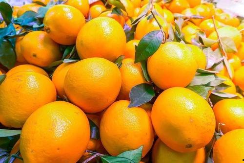 大橙子吃瓜现场,揭秘娱乐圈幕后风云