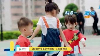 抱着小板凳吃瓜,闲适生活里的趣味时光