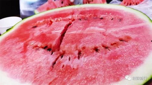 心之所向吃瓜,跟随味蕾探寻美食之旅